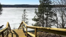 ZAJKINA-DACHA-2.webp