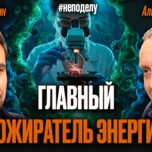Как кишечник влияет на энергию, тревогу и работу мозга